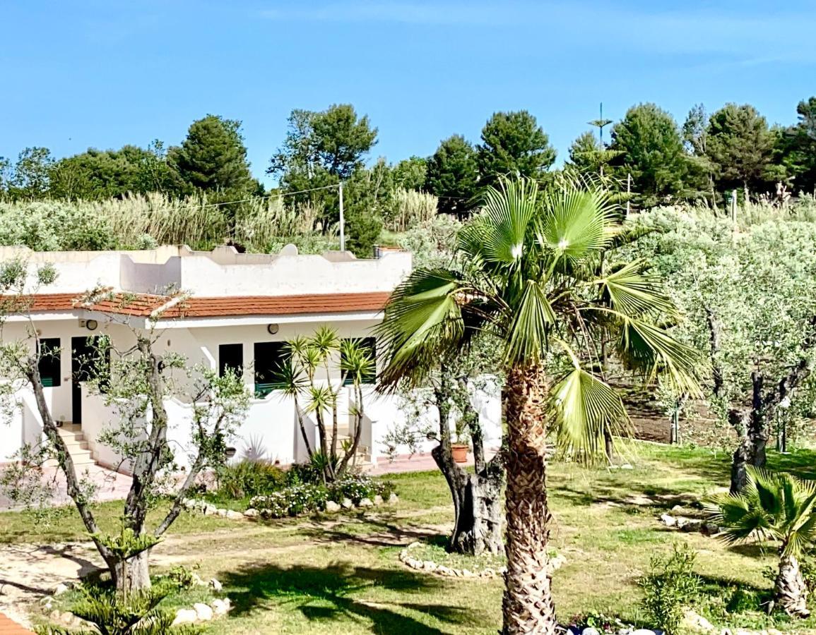 Angela Holiday home *